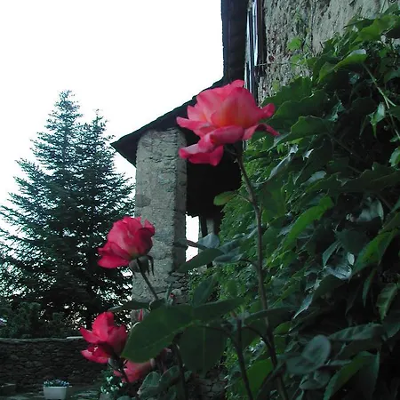 Bed & Breakfast D'hotes Cal Barbe
